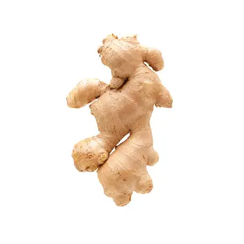 ginger (8)-5957931-11530.webp